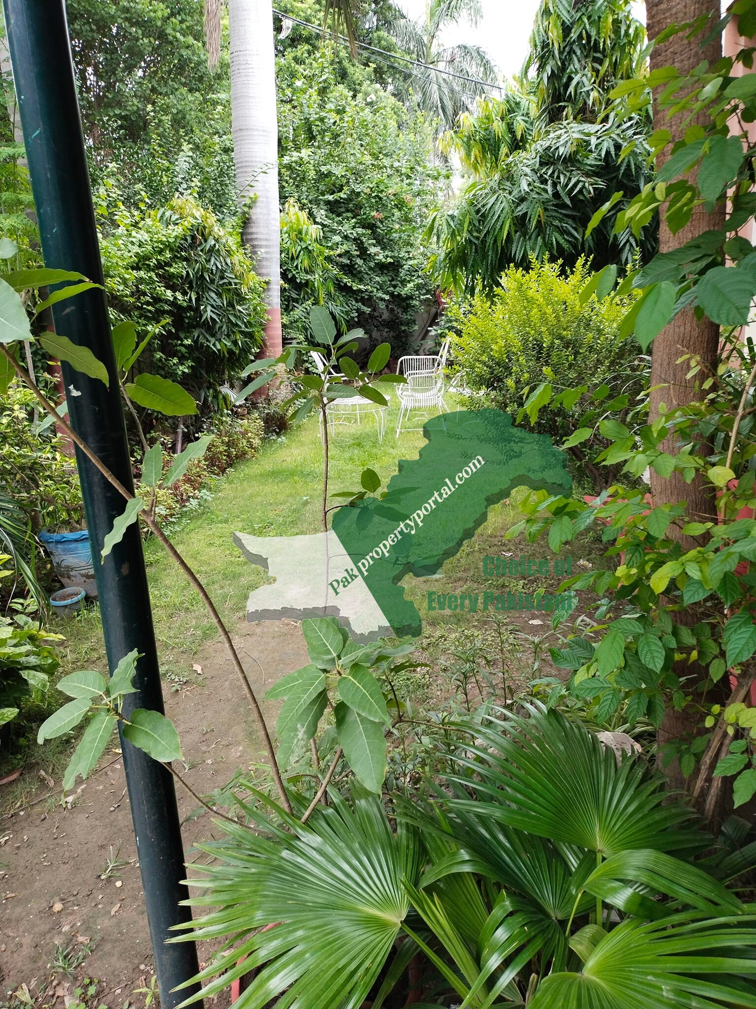 24 MARLA CORNER Used House for SALE  MURATIB Ali ROAD  GULBERG Lahore