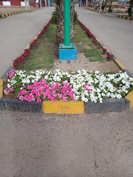 5 Marla Plot for Sale in Wapda Town Lahore