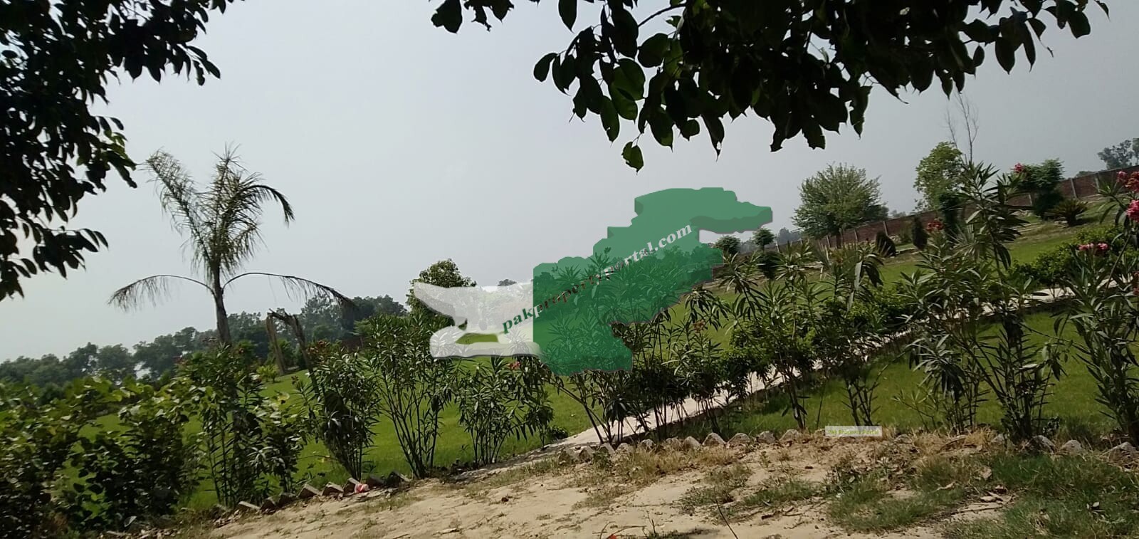 Farm House For Sale in bedian road Lahore Kirka village Lahore