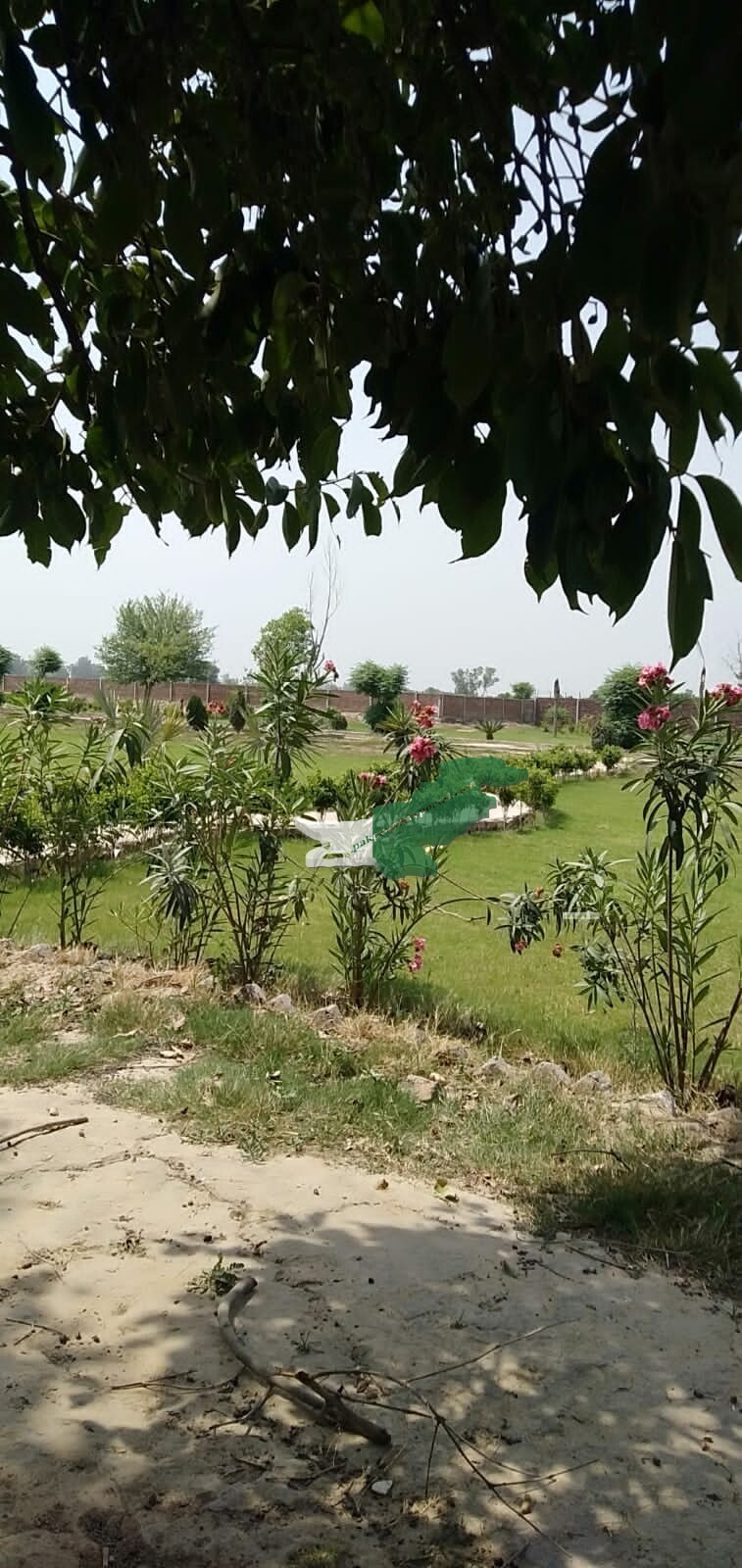 Farm House For Sale in bedian road Lahore Kirka village Lahore