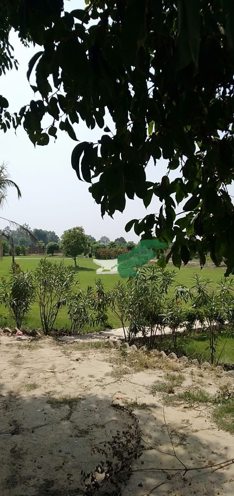 Farm House For Sale in bedian road Lahore Kirka village Lahore