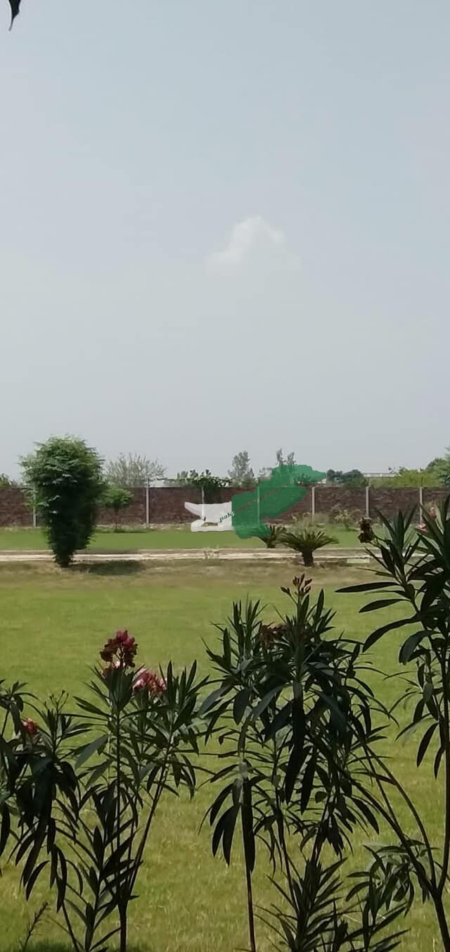 Farm House For Sale in bedian road Lahore Kirka village Lahore