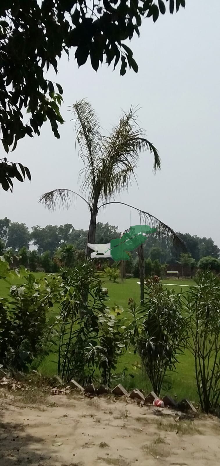 Farm House For Sale in bedian road Lahore Kirka village Lahore