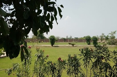 Farm House For Sale in bedian road Lahore Kirka village Lahore