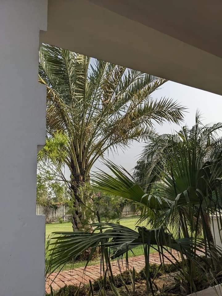 8 Kanal Build Farm House in Barki Road Lahore