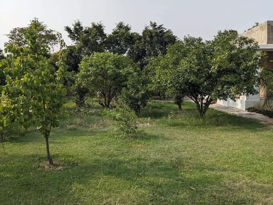 8 Kanal Build Farm House in Barki Road Lahore