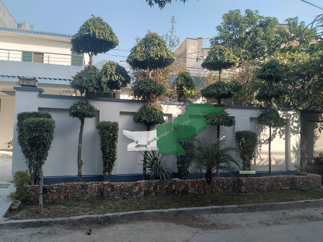 1 kanal Used House For Sale in  Military Accounts Housing Society